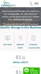 Mobile Screenshot of cochranestorage.com